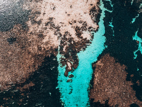 工業污水處理的主要類型有哪些?-污水處理十萬個為什么 工業污水處理的主要類型有哪些?-污水處理十萬個為什么