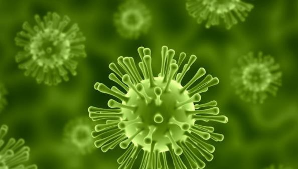 活性污泥中包含哪些微生物？-樂中環保