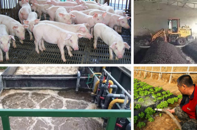 養(yǎng)殖污水處理一體設備多少錢?養(yǎng)殖污水處理方法 養(yǎng)殖污水處理一體設備多少錢?養(yǎng)殖污水處理方法