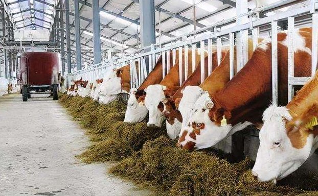 養(yǎng)殖污水處理設備的如何調(diào)試才能保障正常運行?02 養(yǎng)殖污水處理設備的如何調(diào)試才能保障正常運行?02