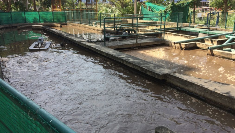 食品加工污水處理流程有哪些？如何更好的處理食品廢水？