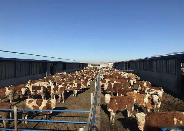 養殖場污水直接排放會面臨哪些處罰？JPEG.2