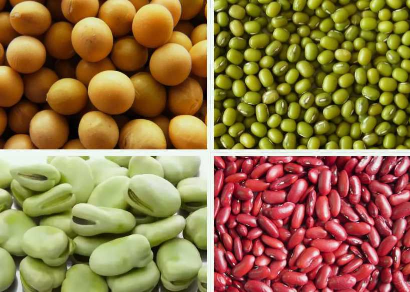 豆制品加工廢水處理工藝流程|設(shè)備 豆制品加工廢水處理工藝流程|設(shè)備