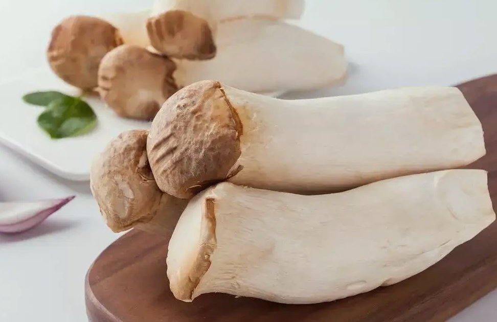 杏鮑菇生產(chǎn)加工廢水排放流程|設備|廢水排放標準 杏鮑菇生產(chǎn)加工廢水排放流程|設備|廢水排放標準