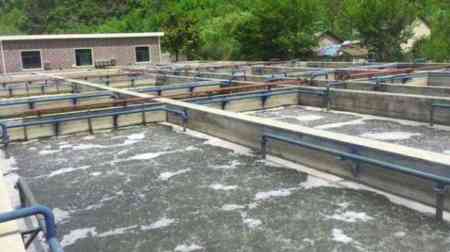 禽類(lèi)加工污水處理工藝及方案方法講解（活禽宰殺污水怎么處理）